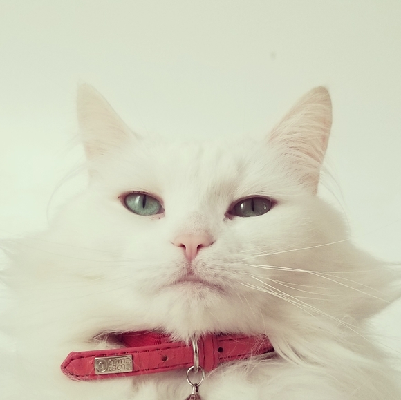 High-quality goods for a fraction of the price! - Picture 3 of 4